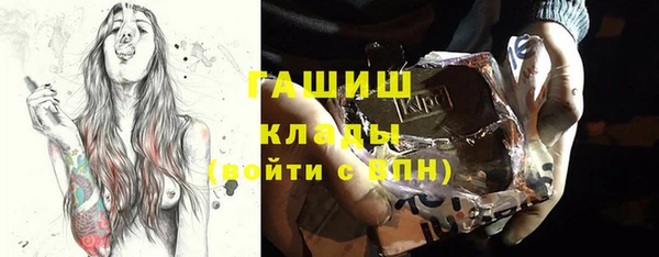 шишки Инсар