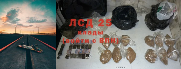 шишки Инсар
