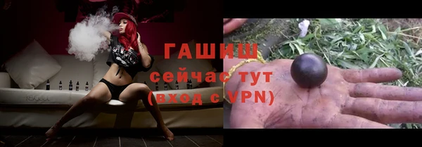 шишки Инсар