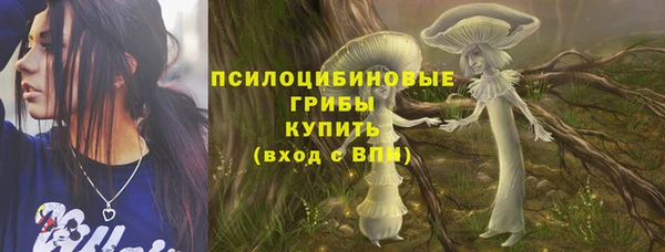 дживик Зеленодольск