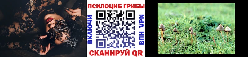 Купить  Барабинск  Галлюциногенные грибы мицелий 